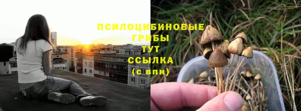 твердый Армянск