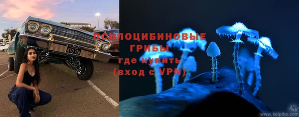 jwh Осинники