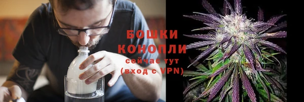 твердый Пересвет