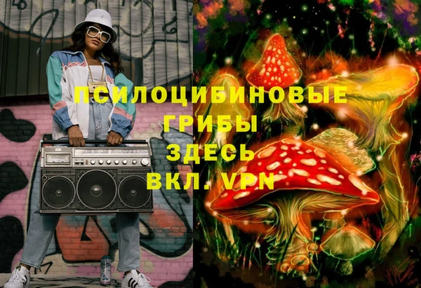 твердый Аркадак