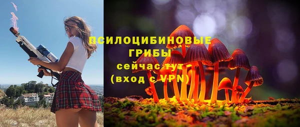 твердый Аркадак