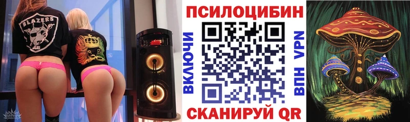 где купить наркоту  Питкяранта  Псилоцибиновые грибы мухоморы 